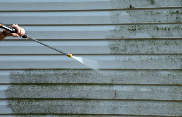 Best Best Pressure Washing Companies  in Bells, TX